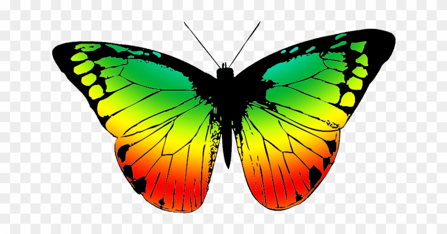 With Many Colors - Butterfly Wings With A Transparent Background Clipart