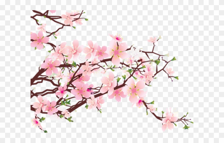 Cherry Blossom Clipart File - Cherry Blossom Tree Png Transparent Png