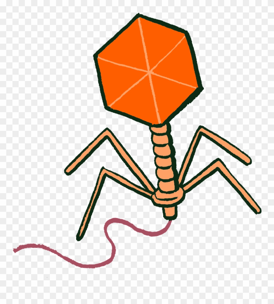 Biologists Never Miss An Opportunity To Turn A Discovery Clipart