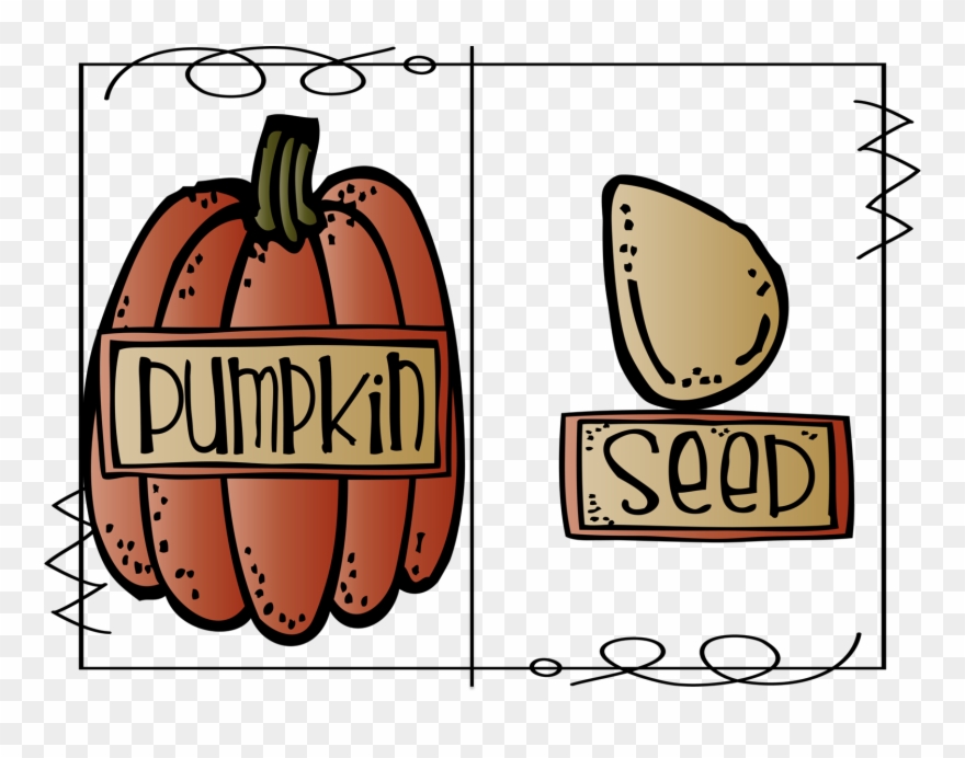 Pumpkin Or Seed - Writing Clipart
