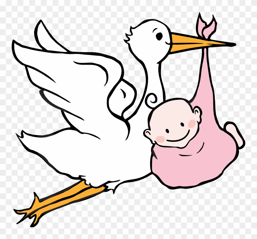 Chimp Drawing Childbirth Picture Transparent Download - Stork Baby Boy Clip Art - Png Download