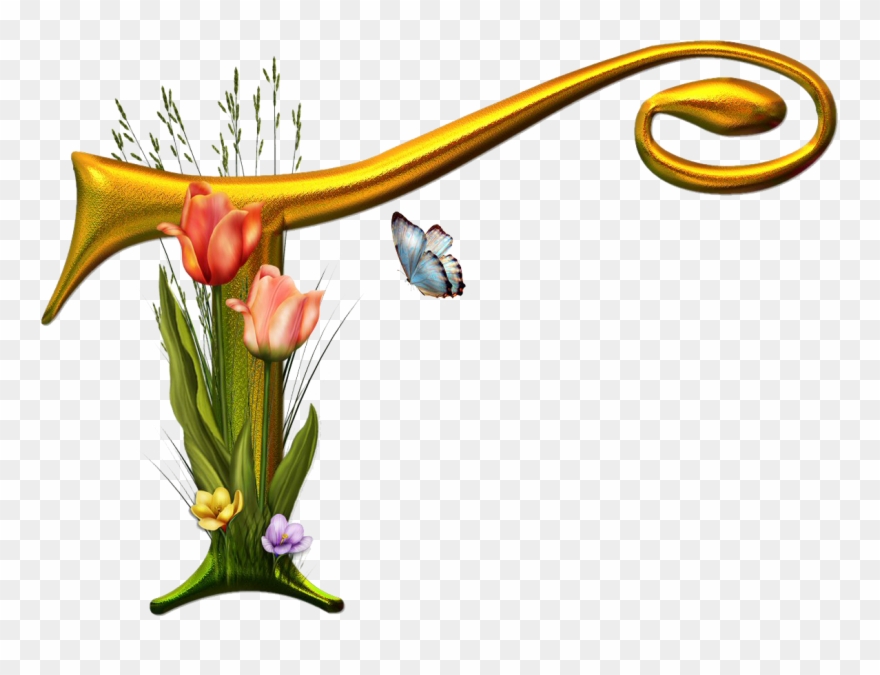 All S Files - Women Natural Real Dried Flower Round Glass Bottle Clipart