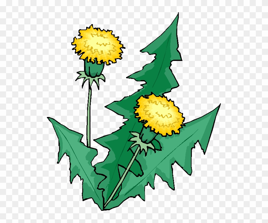 Decomposer And Nutrients Cycle Clipart