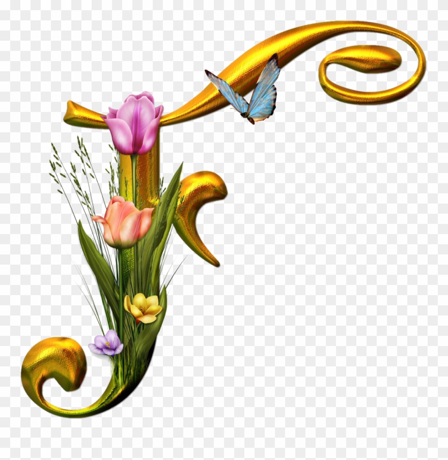 All E Files - Alphabet Clipart