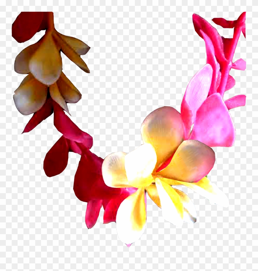 Aloha Nui Loa Clipart