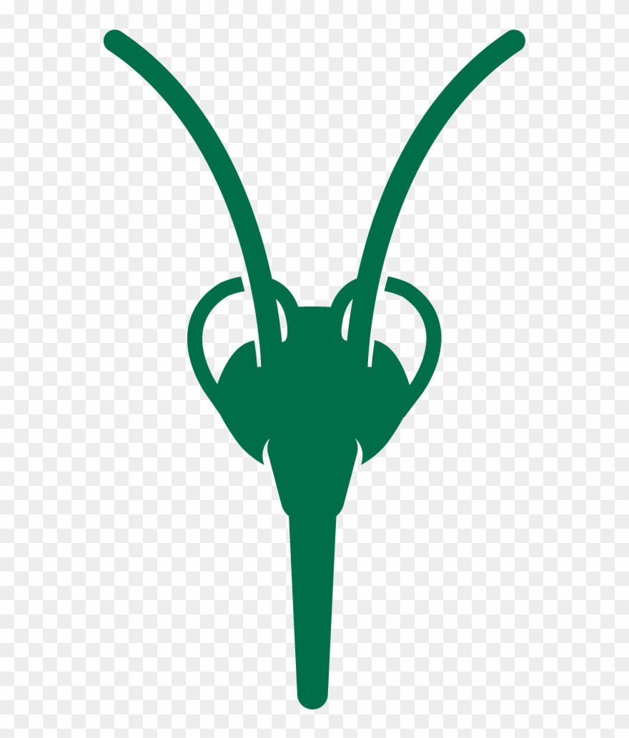 Change Water In Small Containers Like Bird Baths And - Philadelphia Clipart