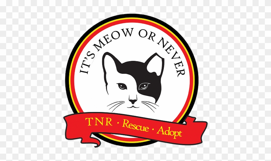 Barn Cats - Black And White Kitty Cat Face Tshirt Clipart