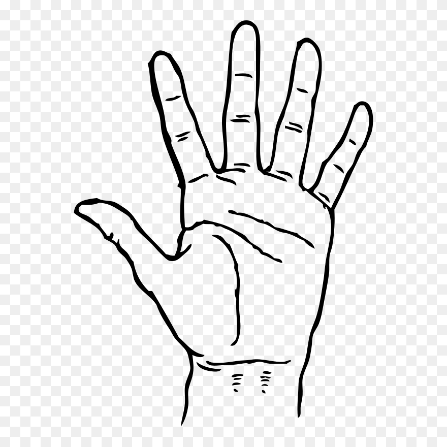 And White,five,fingers, - Clip Art Hand - Png Download
