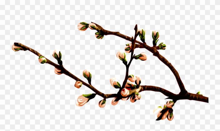 Album - Twig Clipart