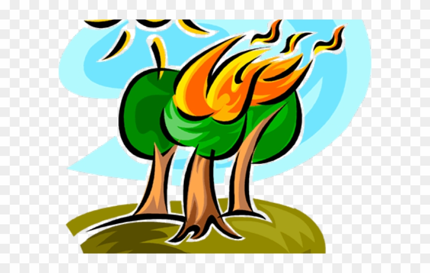 Disaster Clipart Transparent - Forest Fire Clip Art - Png Download