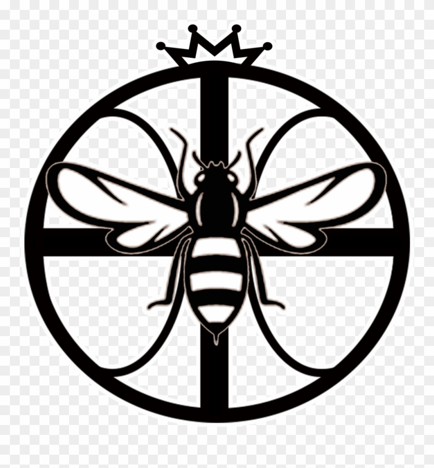 All Of Our Coaches Are Usa Certified And Have Years - Illustration Clipart