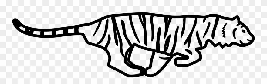 Tiger Outline Of Running Download - Tiger Running Clipart Black And White - Png Download