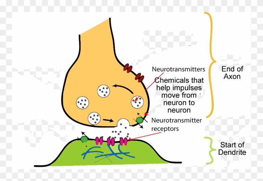 Index Of Archive Science Powerpoints System Files - Cartoon Clipart
