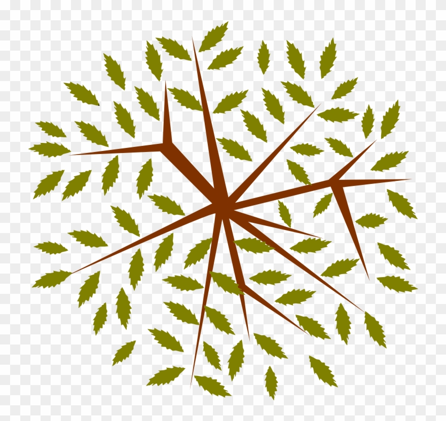 Clip Arts Related To - Tree - Png Download