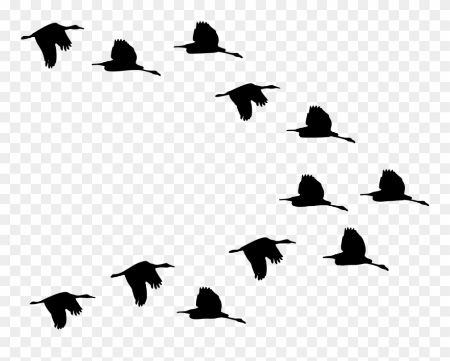 Onlinelabels Clip Art - Flying Birds - Png Download