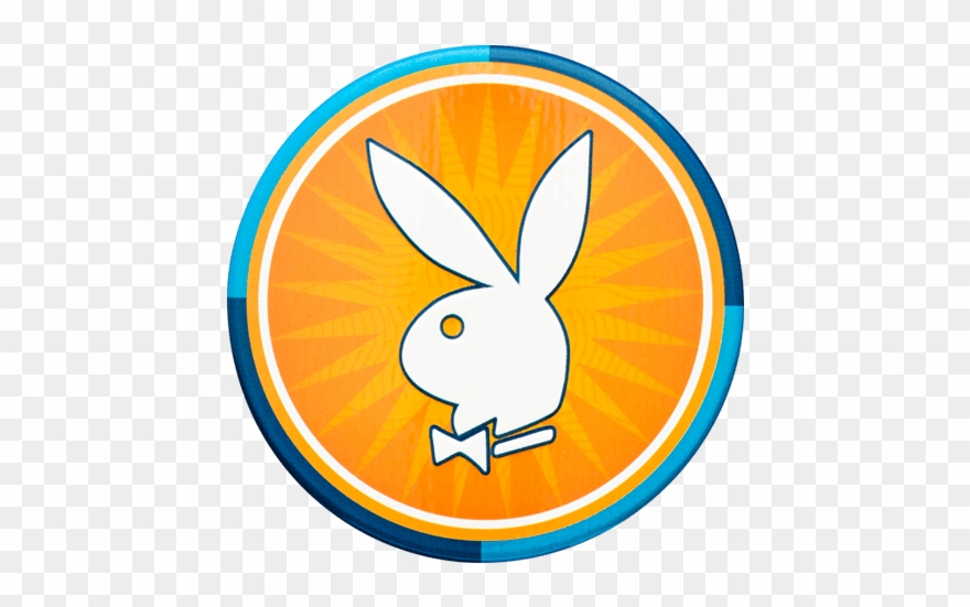 Paradise Colección Clipart