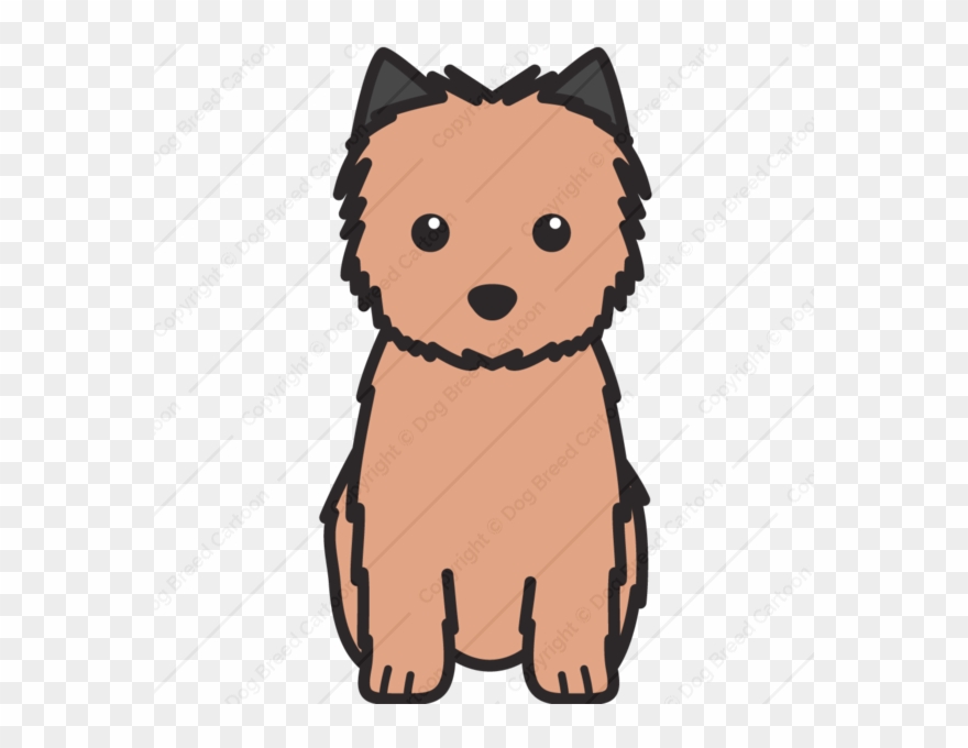 Cairn Terrier - Cartoon Cairn Terrier Clipart