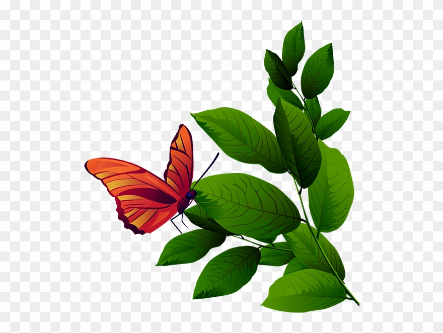 Tubes Arbres / Arbustes / Feuillages - Fashion Clipart