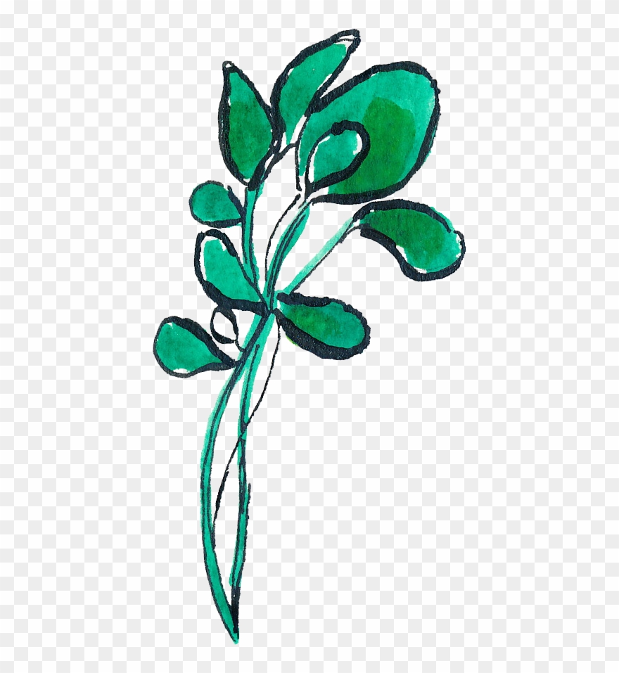 Montana Harvest Of The - Leaf Vegetable Clipart