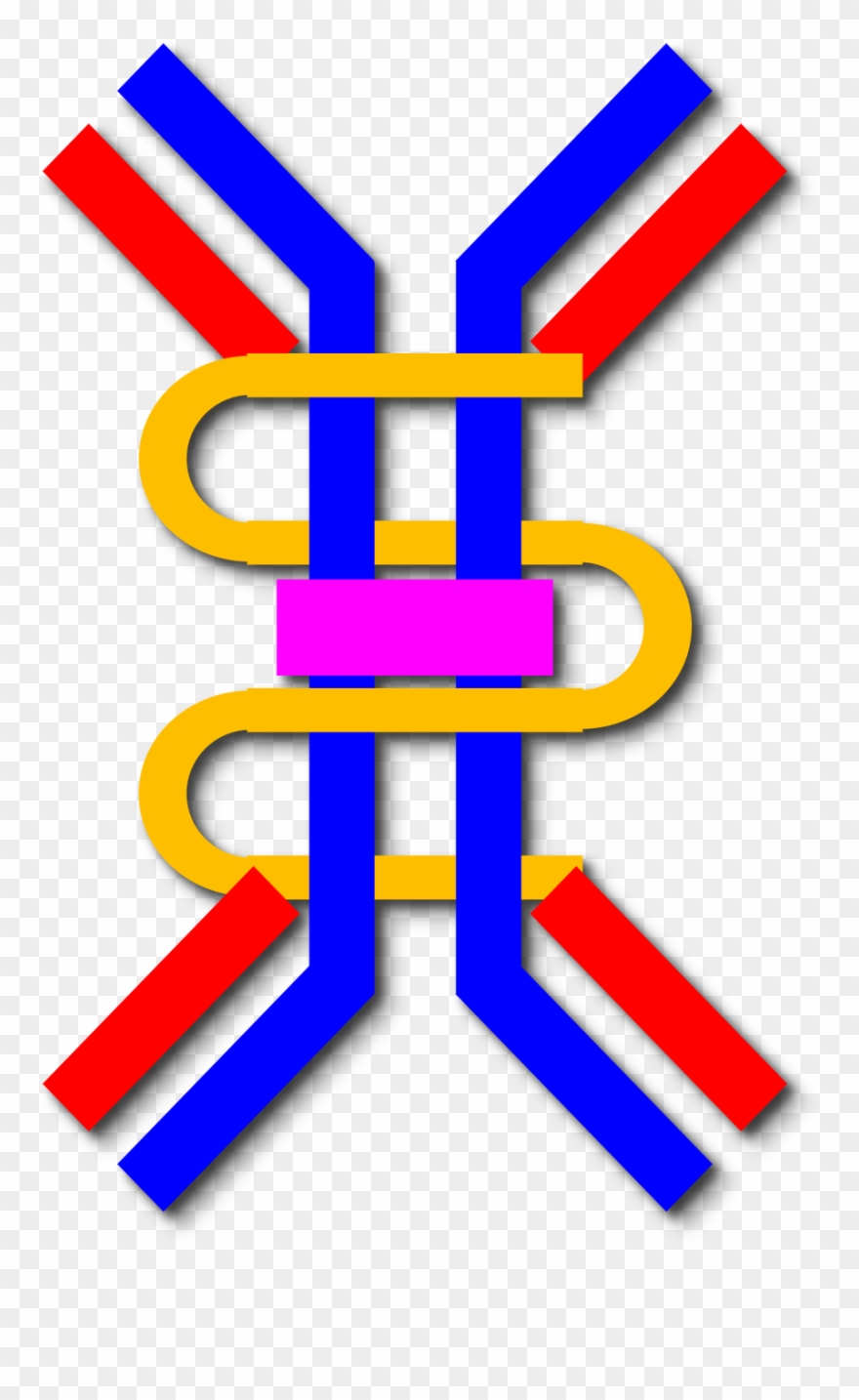 Iga Nephropathy - Wikipedia - Iga Antibody Png Clipart