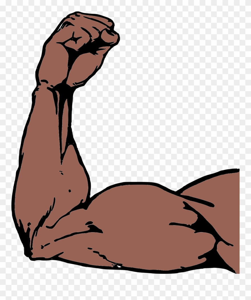 Types Of Sessions - Arm Muscle Png Clipart