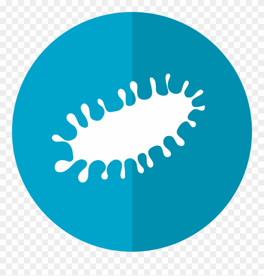 Helicobacter Pylori Infection Ulcers Topeka Endoscopy - Infeccion Png Clipart