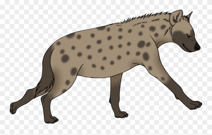 Hyena Clipart Png Transparent Png