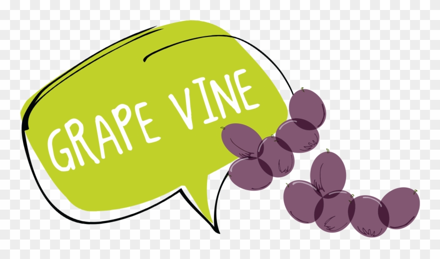 Grape Vine Website Banner Clipart