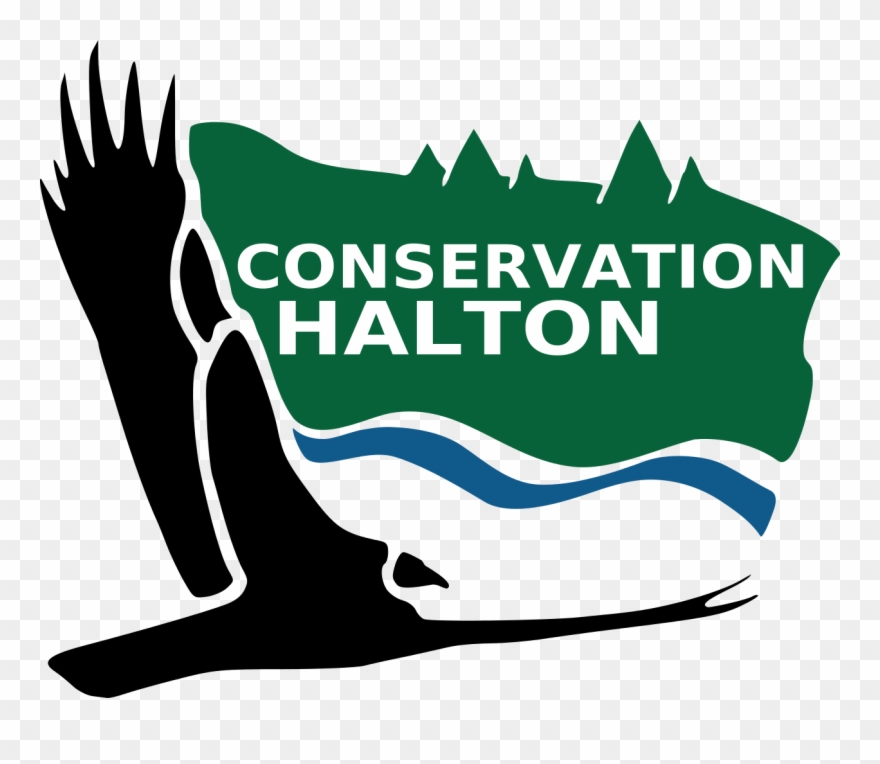 Conservationhaltonlarge - Halton Region Conservation Authority Clipart