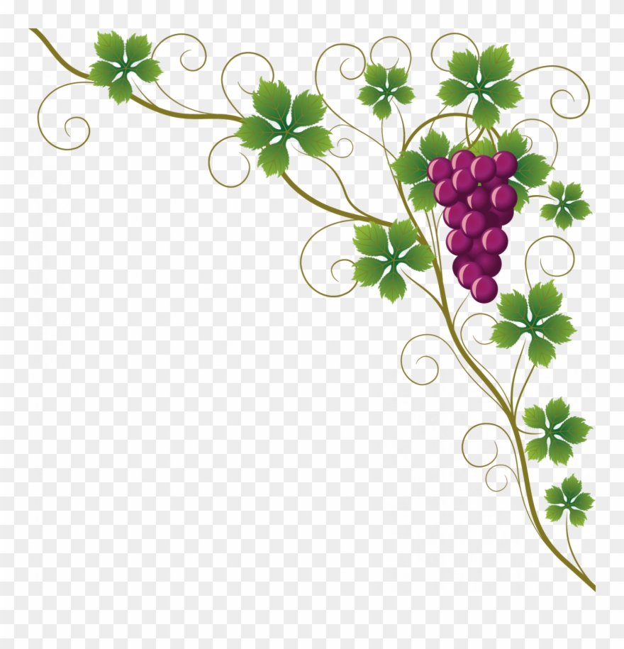 Vine Clipart Raisin - Design Border Of Chart - Png Download