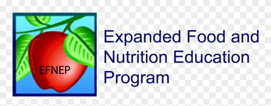 Logos Standards Of Use - 1991-1997 Ford Explorer Wiper Blade (rear) (saver Automotive Clipart