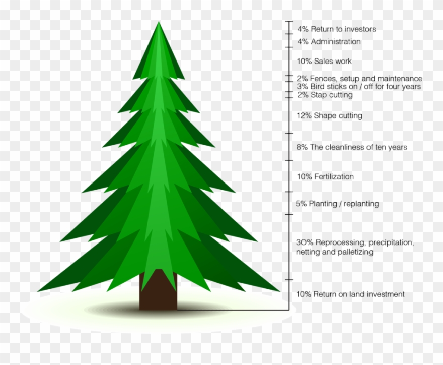 Christmas Stunning Christmas Lights At Charlotte Motor - Clip Art Stylized Christmas Tree - Png Download