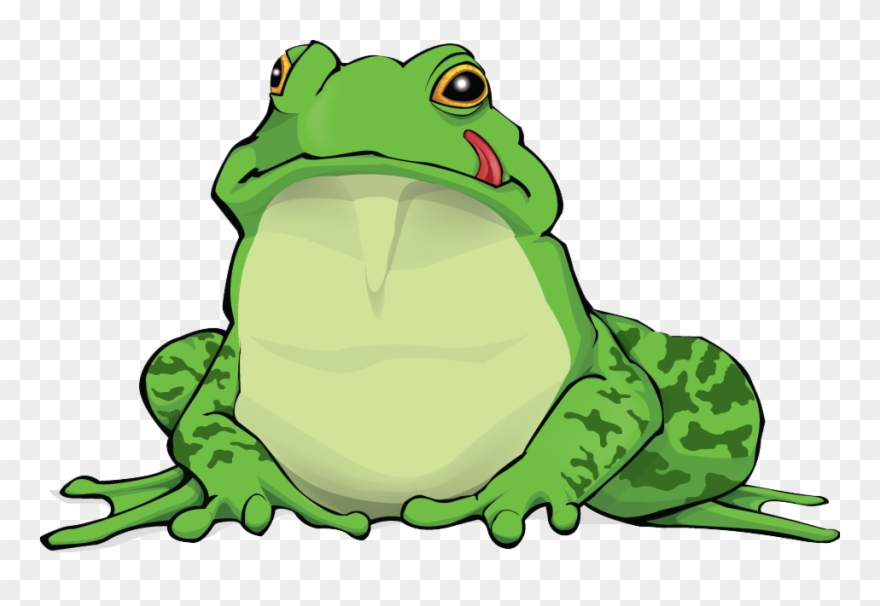 Amphibian Png Free Download - Amphibian Png Clipart