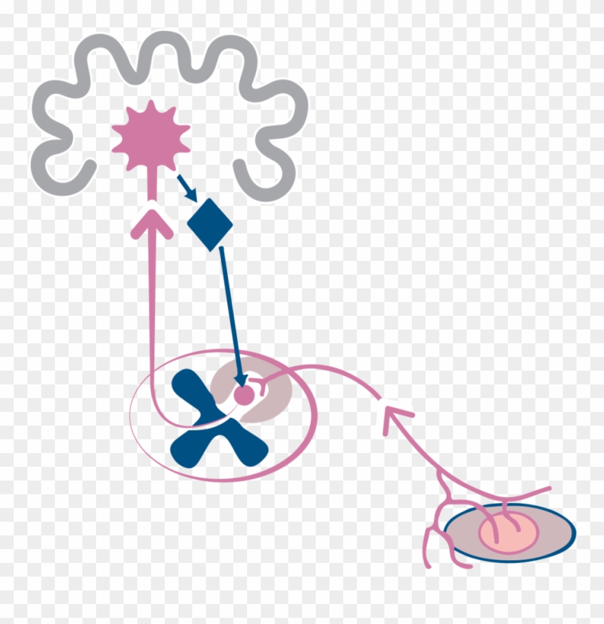 Pain Education Clipart