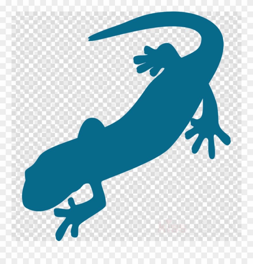 Salamander Clip Art Clipart Salamander Newt Clip Art - Newt Clipart - Png Download