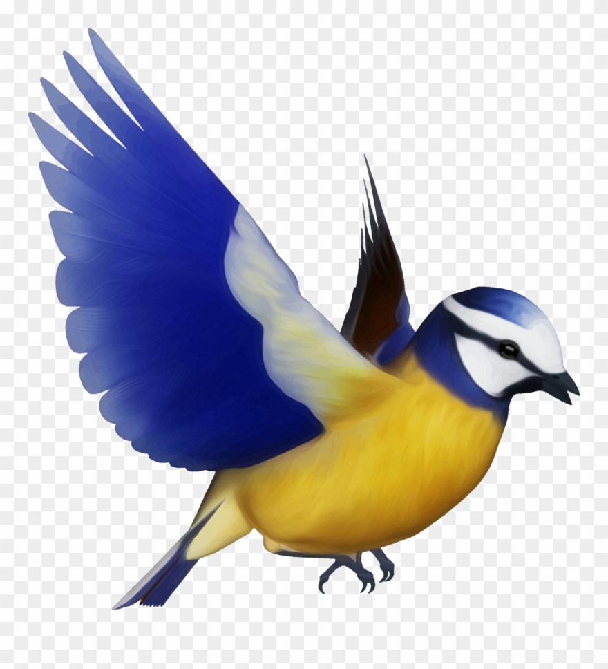 Flying Bird Clipart Bird Png - Flying Colourful Birds Png Transparent Png