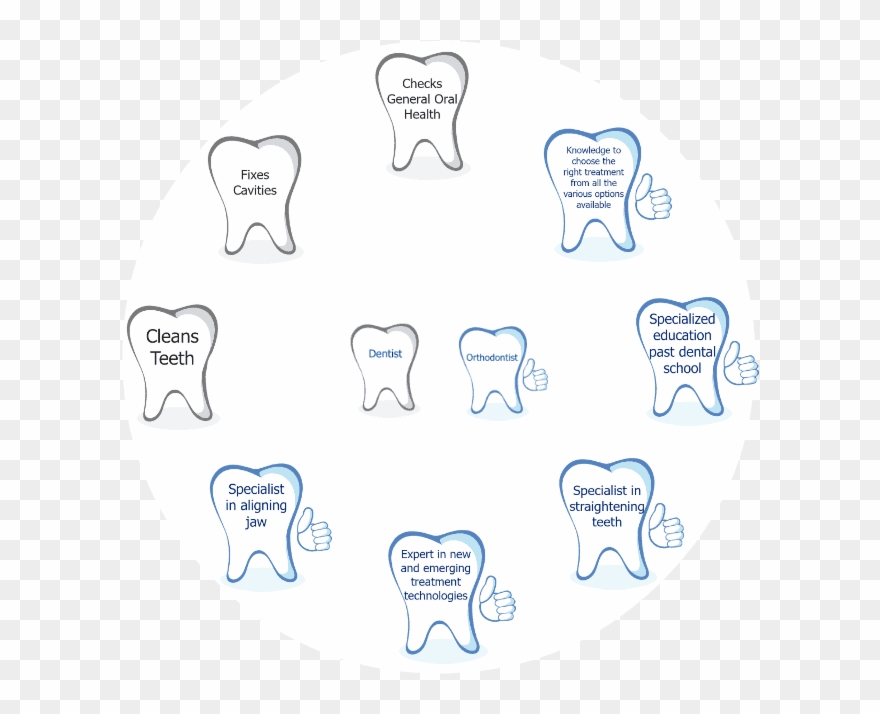 Whats The Difference Between A Dentist And An Orthodontist - Dallas Clipart