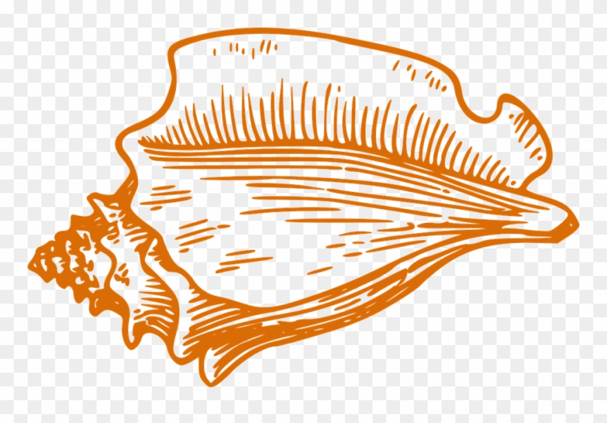 In "lord Of The Flies\ - Conch Shell Clip Art - Png Download