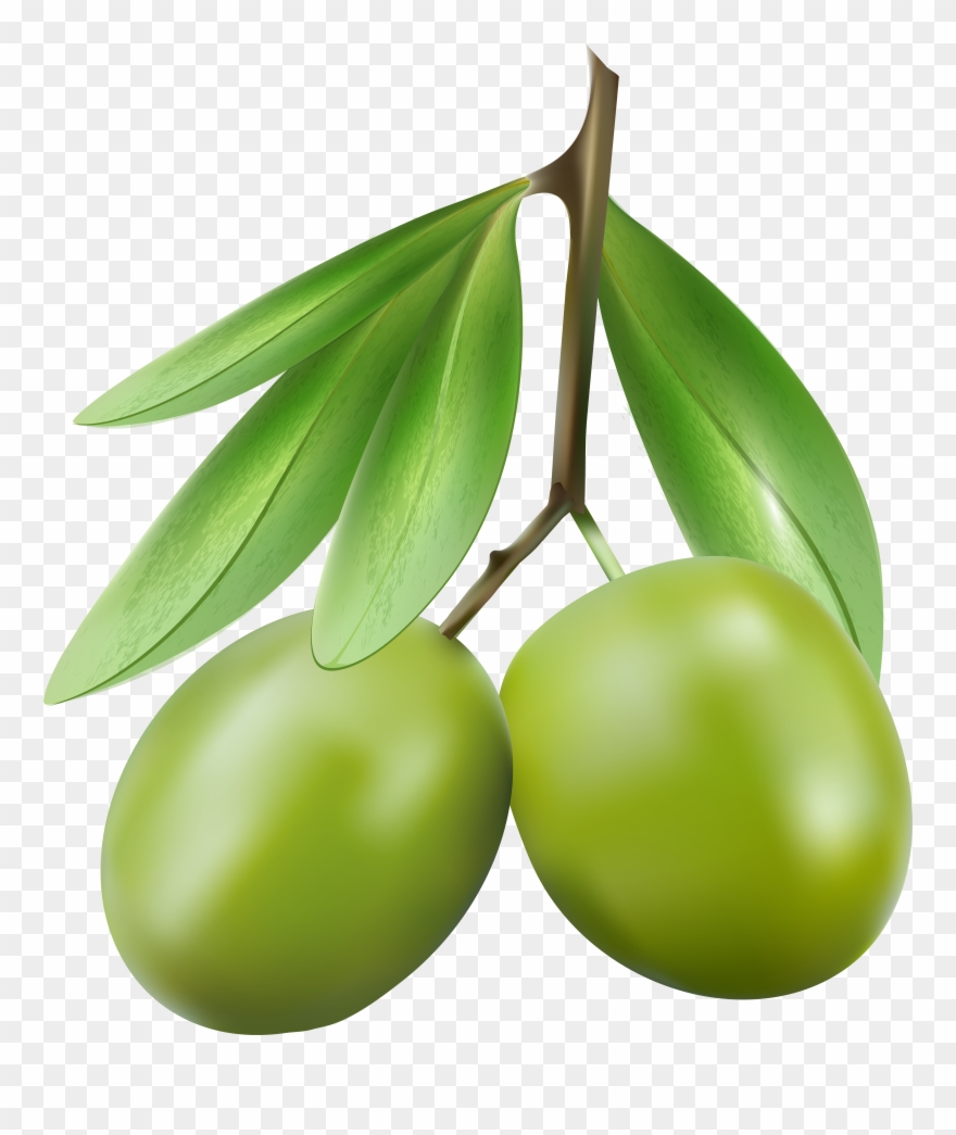 Green Olives Png Clipart