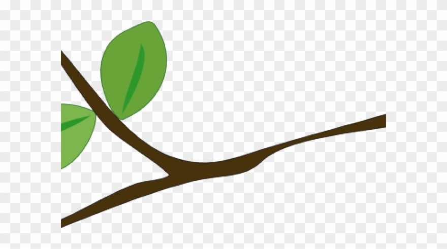 Tree Branch Clipart - Clip Art - Png Download
