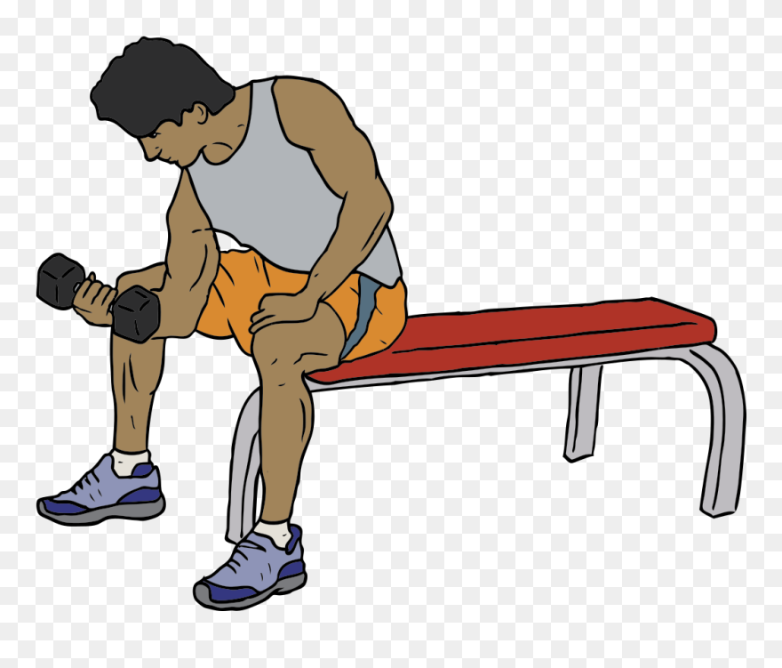 Free Dumbell Lifter - Working Out Clip Art - Png Download