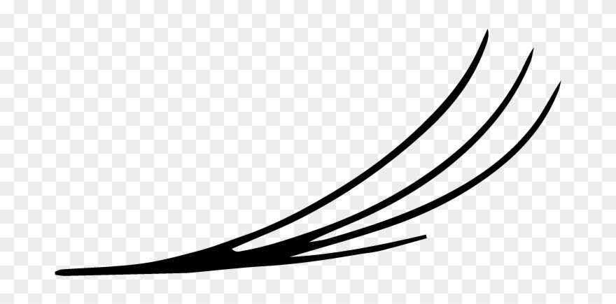 Lashes-03 - Portable Network Graphics Clipart