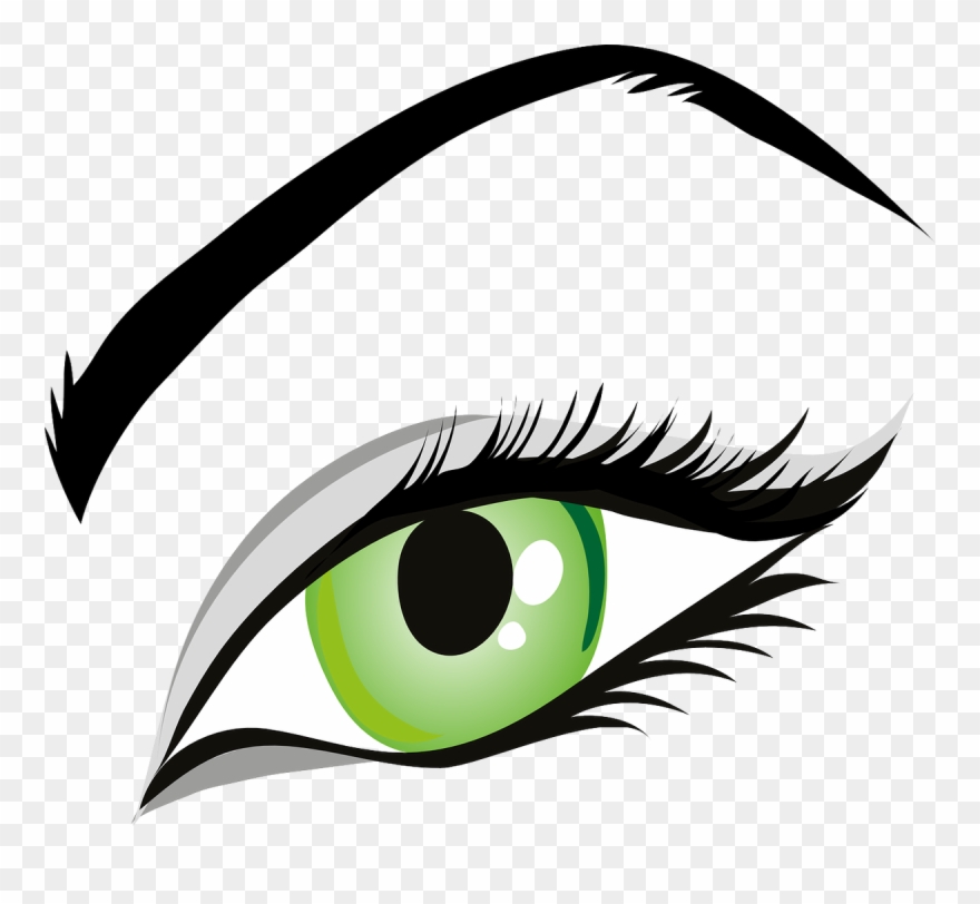 Eye, Green Eyes, Iris, Eyelid, Eyebrows, Brows, Seeing - Eye Clipart - Png Download