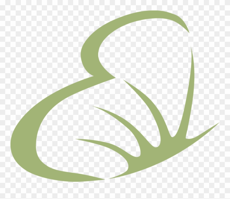 Hydrafacial Evolution Lash Studio & Spa Clipart