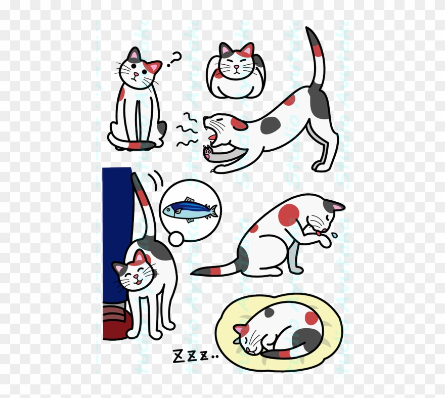 Cat Expressions Png - Illustration Clipart