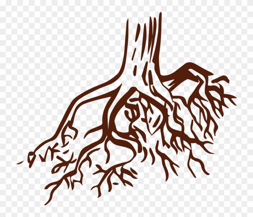 My Rooted Soul Christian Counseling, Celina And Frisco, Clipart