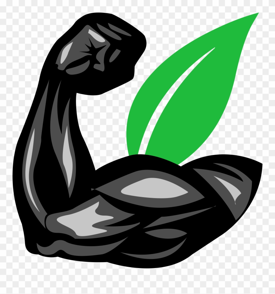 Start Your Free 5 Day Email Course To Explode Your Clipart