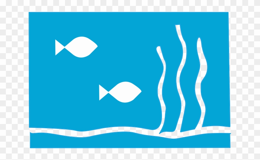 Aquarium Tank Accessories Clipart