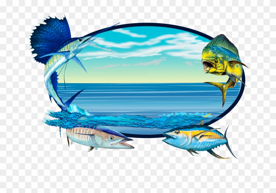 Sailfish Clipart Wahoo - Mahi Graphic - Png Download