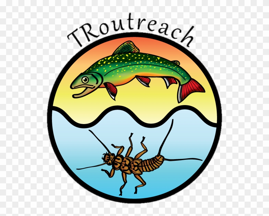 Corixid Migration Linking Wetland And River Ecosystems Clipart